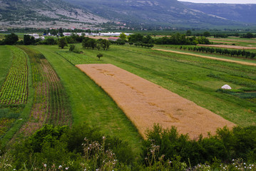 Farmland in the valley