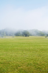 Morning mist over trees in field