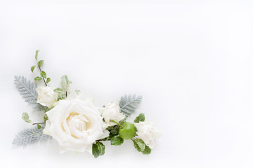 バラ　白いバラ　アバランチェ　背景素材