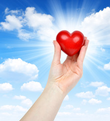 Obraz premium heart in hand