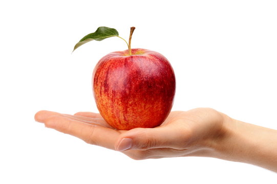 Studio shot of red apple with leaf on hand