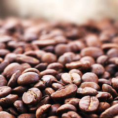 coffee beans close up