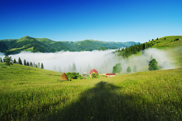 Foggy morning  landscape