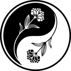 Carnation Yin Yang