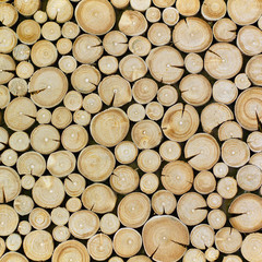 wood logs texture background