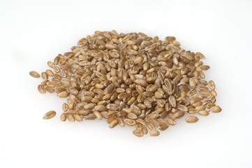 Weizenkoerner, Weizen, Triticum, aestivum,