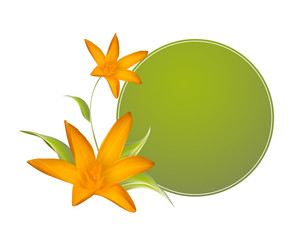 Crocus spring flowers for your card design.