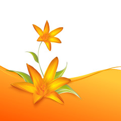 Crocus spring flowers for your card design.
