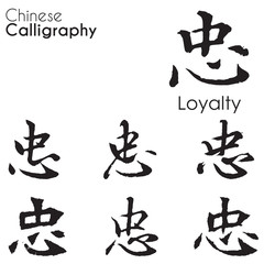 Various kind Chinese Calligraphy of 