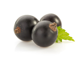 black currants on white