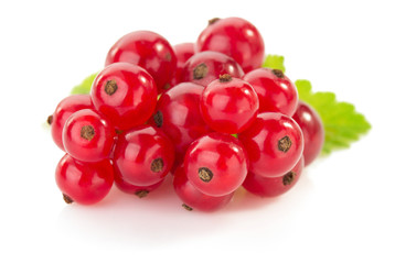 red currants on white