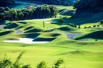 Golf club with nice green