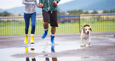 Dog walk in rain
