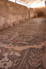 Mosaics in Petra, Jordan