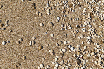 Sand and small pebbles texture background