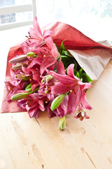 Frische pinke Lilien