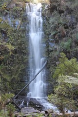 Obraz premium Australia falls