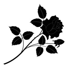 Rose flower silhouettes