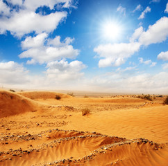 Fototapeta na wymiar Sahara: desert dunes