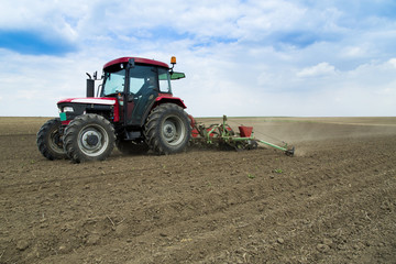Fototapeta premium Tractor seeding crops at field.