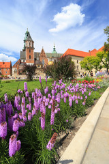 Cracow    Wawel Castle © Rochu_2008