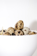 Quail eggs