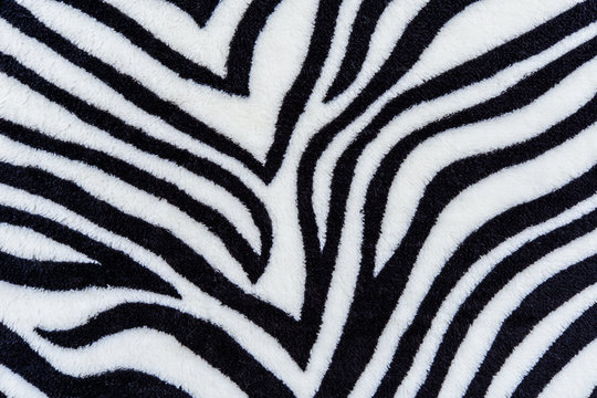 The texture of fabric stripes zebra