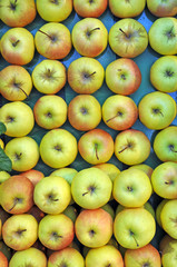 Äpfel