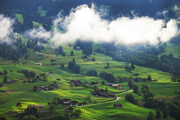 Beautiful view of idyllic mountain scenery in the Alps with famous Eiger and Jungfrau summits and chalet in fresh green meadows of blooming flowers in summer Grindelwald Canton of Bern, Switzerland