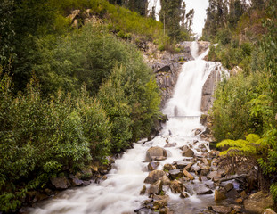 Steavenson Falls Victoria Australia