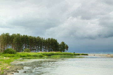 Baltic Sea in summer.