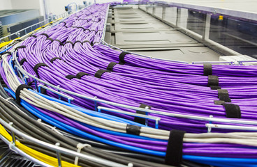 Large group of lilac utp cables