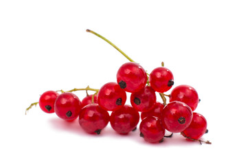 red currant