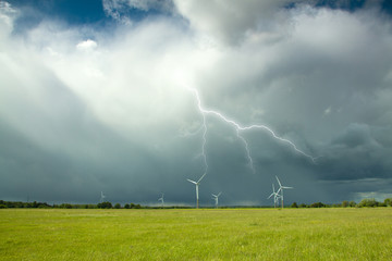 beauty of Nature