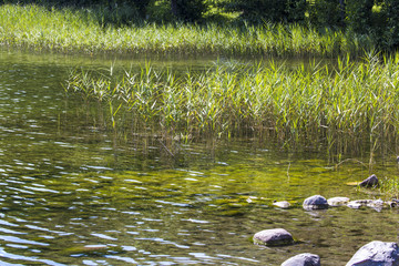 Lake Hancza in eastern Europe. Poland