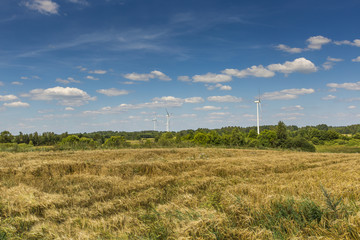 Wind turbines in Suwalki Landscape Park, Poland.