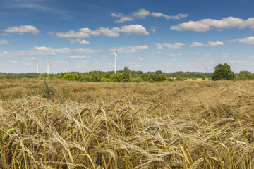 Wind turbines in Suwalki Landscape Park, Poland.
