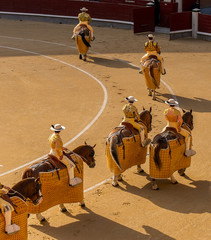 Bullfight