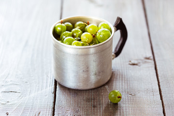Green gooseberries in a aluminum cup