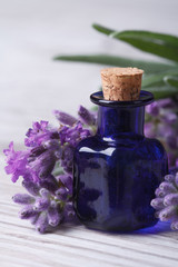 lavender oil in a blue bottle vertical macro