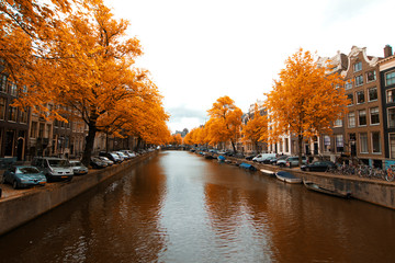 Fototapeta premium Amsterdam.