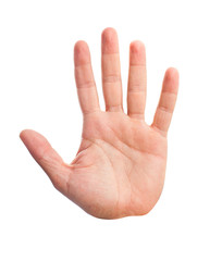 hand palm