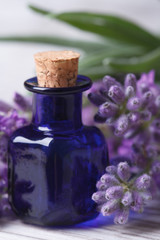Obraz na płótnie Canvas aromatic lavender oil vertical macro