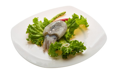 Raw cuttlefish