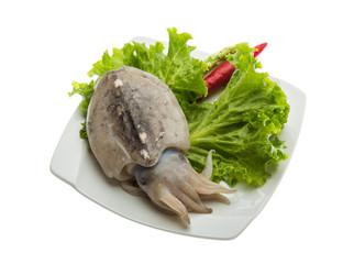 Raw cuttlefish