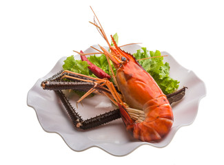 Giant Freshwater Prawn