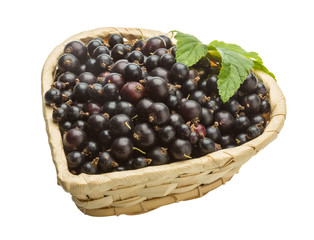 Black currant