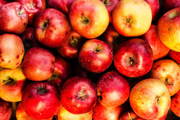 Food background with ripe red apples close up.