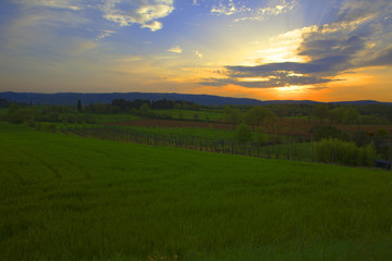 Naklejka premium arezzo colli senesi tramonto
