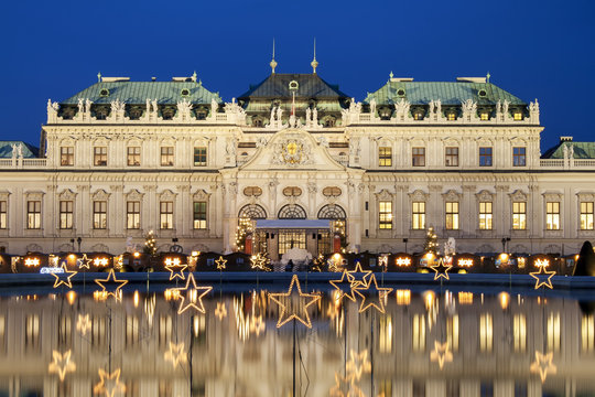 Christmas Stars In Vienna